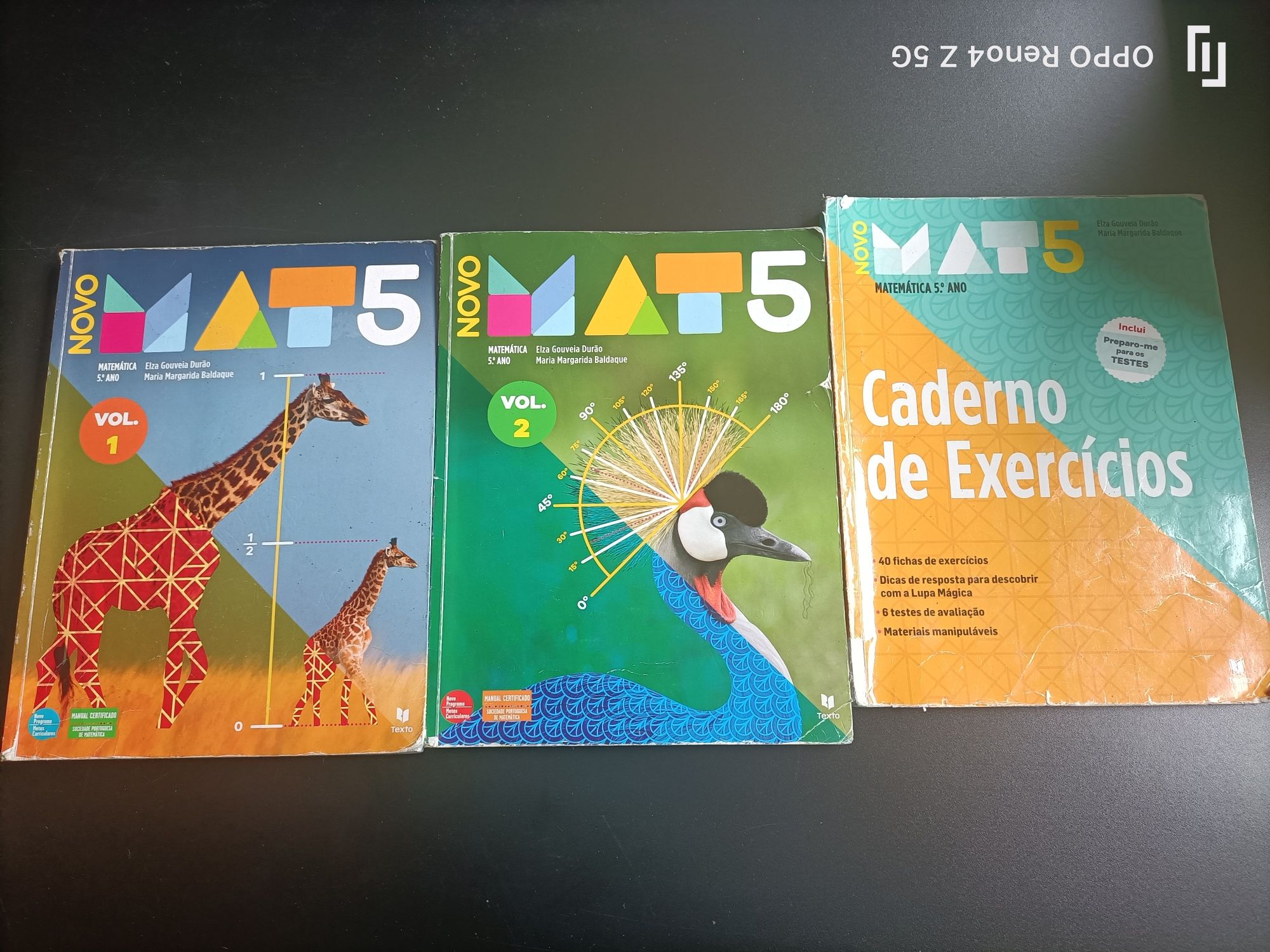 Conjunto de Manuais de matemática 5 ano