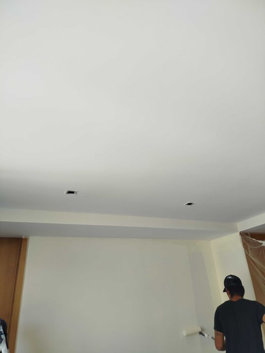 BARRAMENTO/ PLADUR/PINTURA