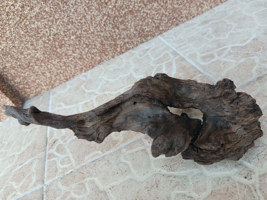 Коряга корч для аквариума дерево Ольхи