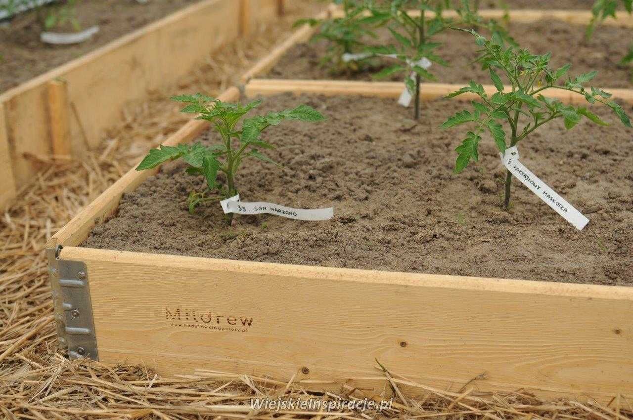 Nadstawki paletowe - podwyższone grządki