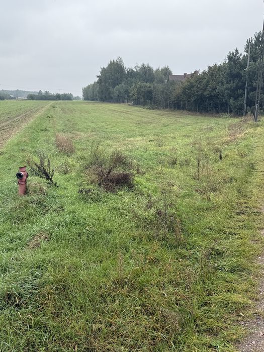 Sprzedam dzialke budowlana  w Borkowie Koscielnym