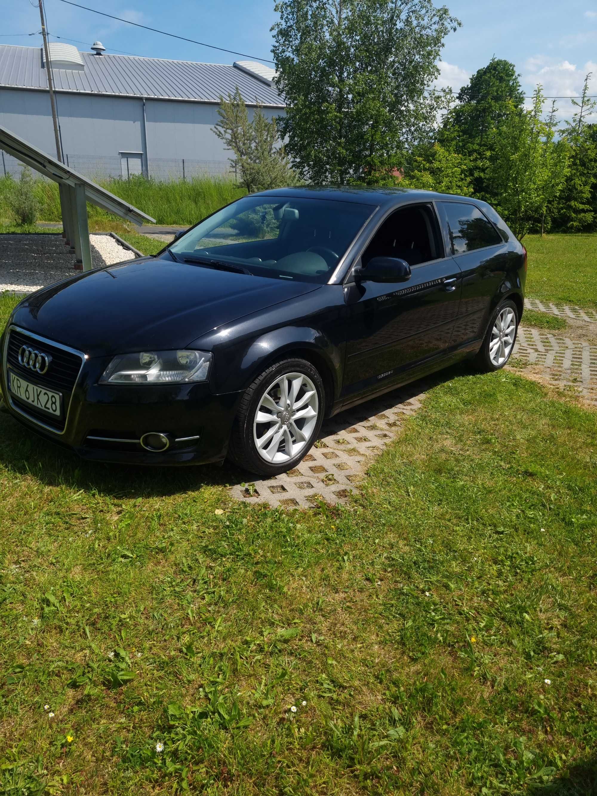 Audi a3 8p 2011 rok 1.6 tdi (Faktury,Nowy Dwumas,hamulce itp)