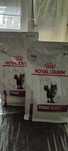 Royal Canin kot RENAL