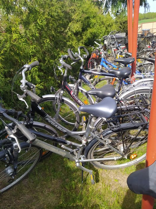 RowerCarver Cyco Kalkhoff City Star