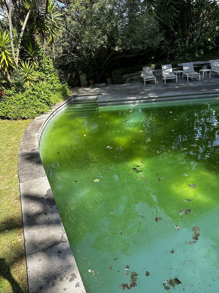 Limpeza e manutenção de Piscinas