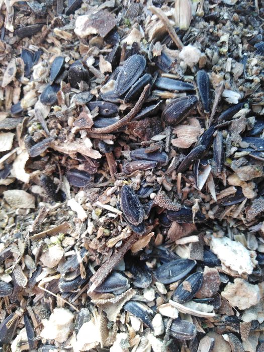 Продам зерно Отход соняшника. Просо 600кг