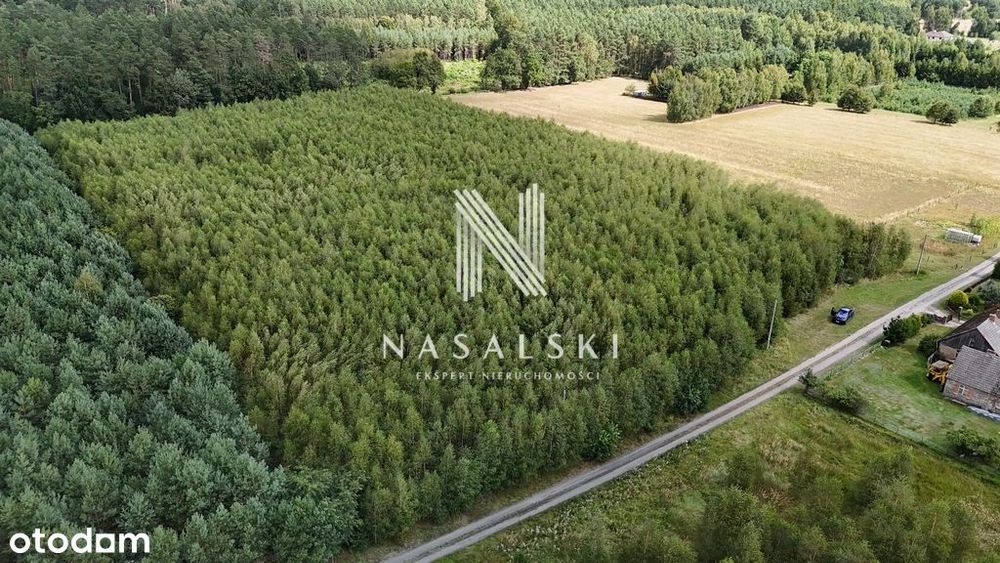 Działka rolna 2,5 h możliwy podział Jania Góra