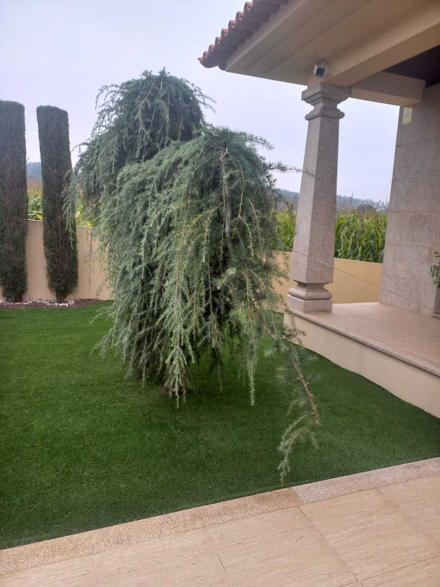 Árvore de jardim para efeitos com gosto