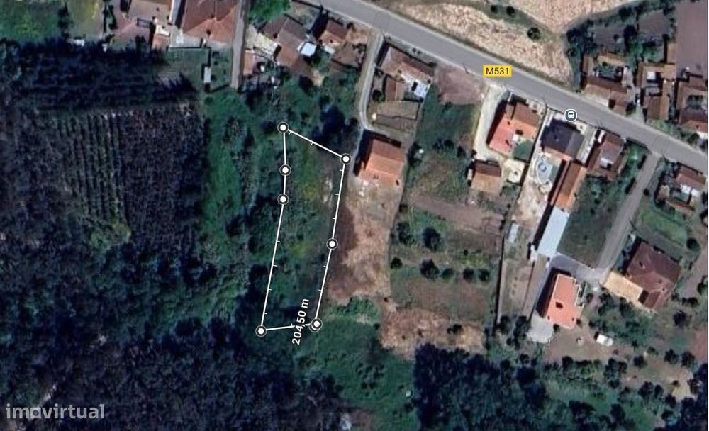 Terreno / Bajouca / Leiria