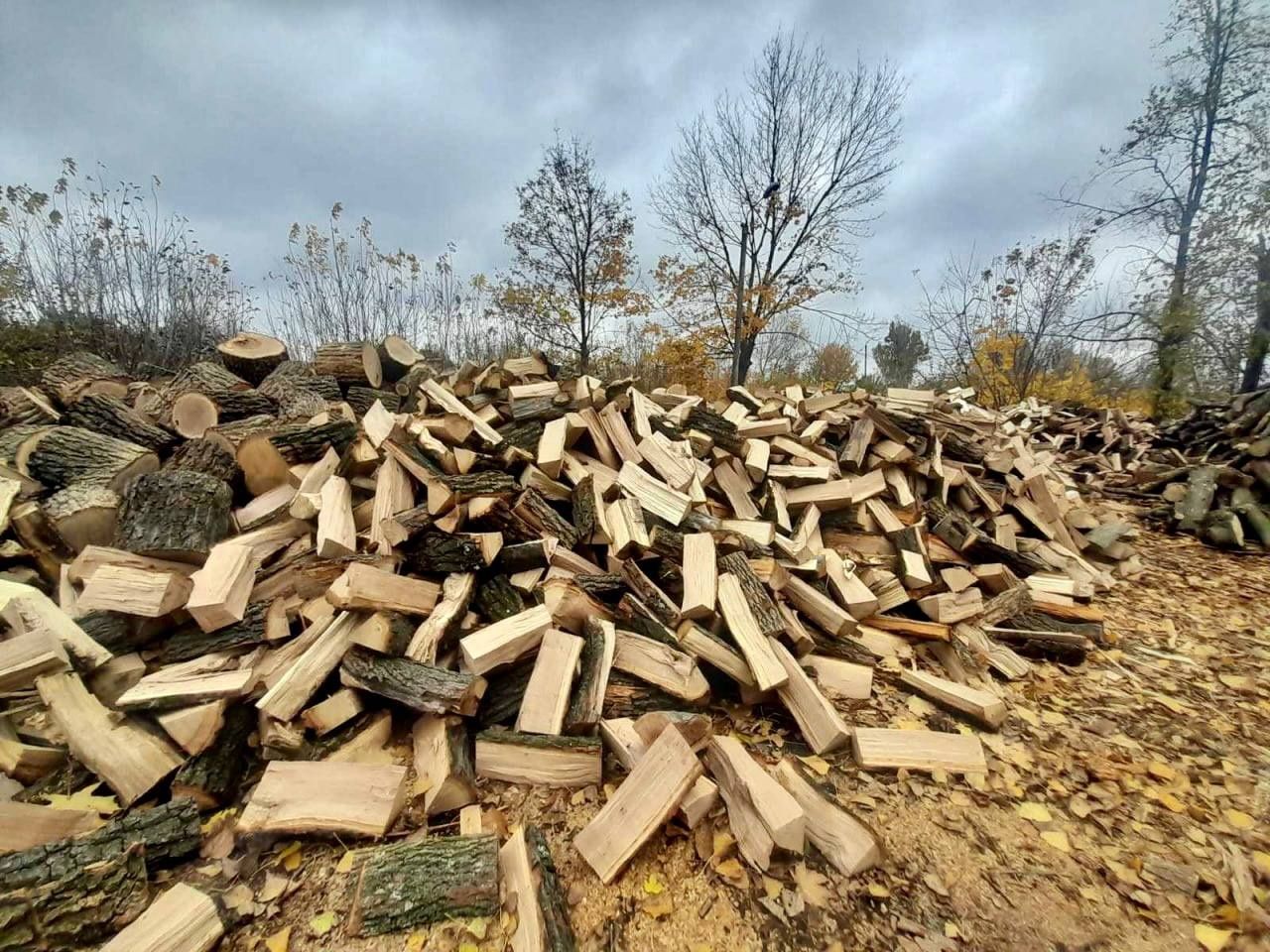 Дрова в Днепре недорого