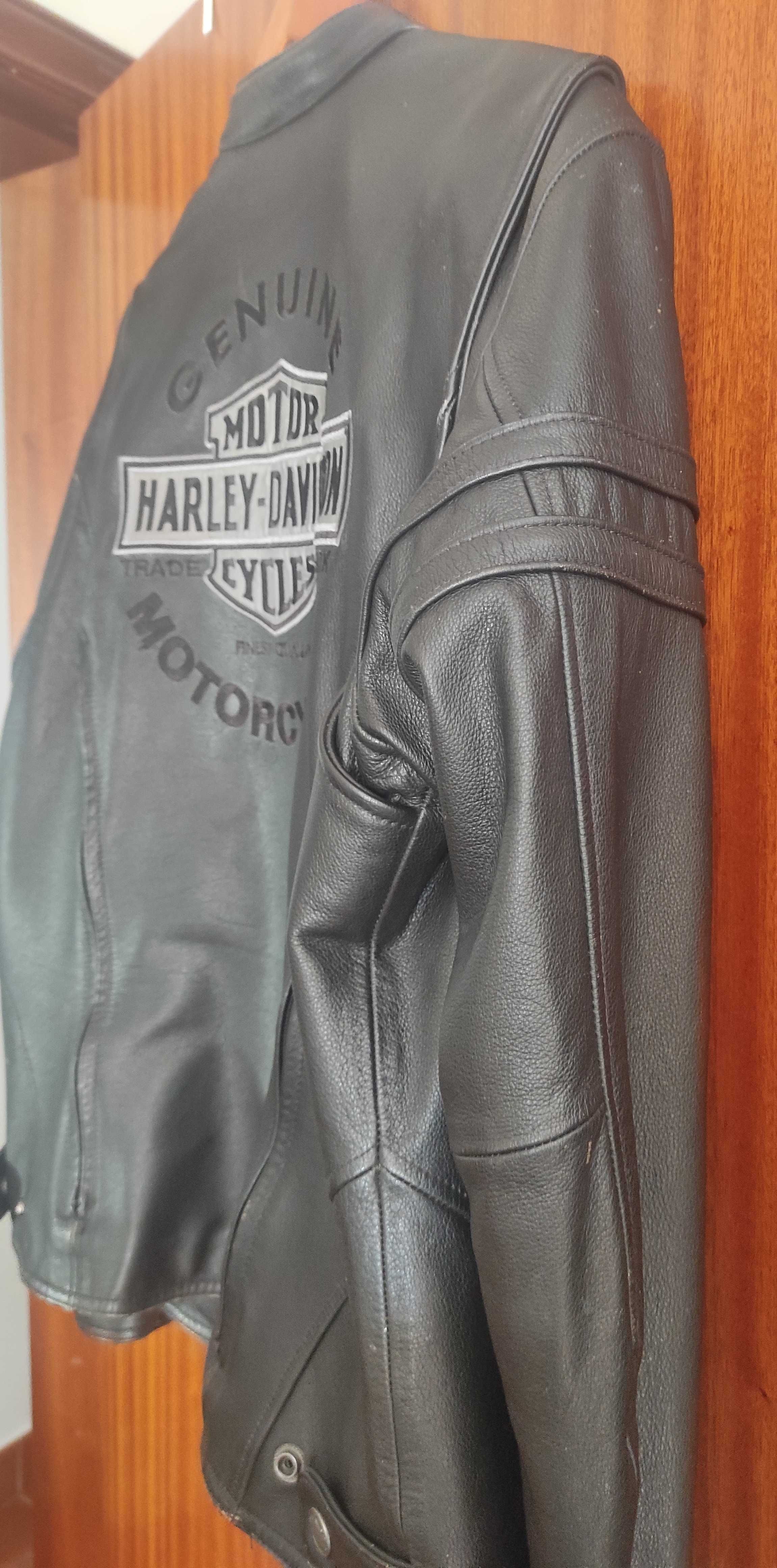 Casaco Harley Davidson