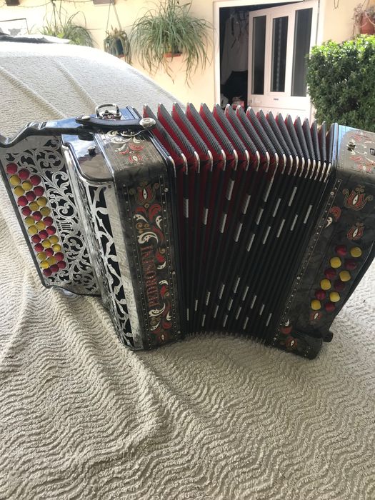 Vendo esta concertina da Famosa marca Pedrosini semi nova em FA LA RE