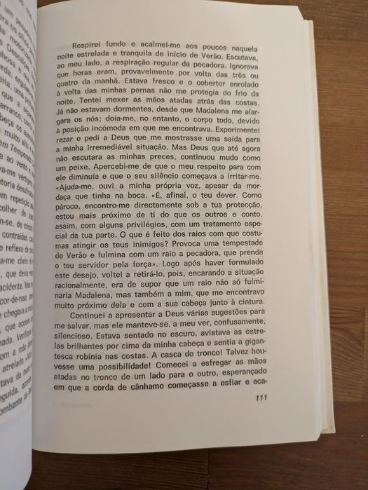 L " Madalena a Pecadora " Lilian Faschinger (Optimo Estado)