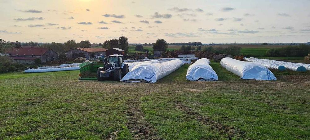 Śrutowanie gniecenie mielenie pakowanie zakiszanie w rękawy foliowe.