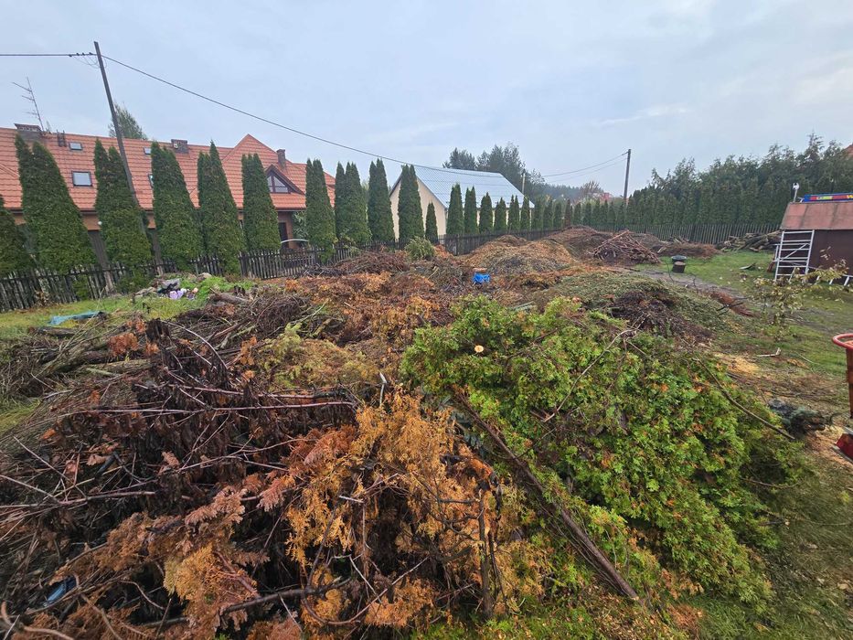 zrębka oddam białystok