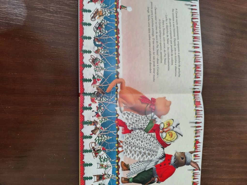 Uma Gatinha de Natal - Livro Infantil