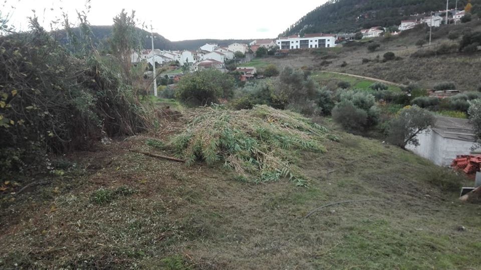 Limpeza de terrenos / lavra terrenos/ abate de arvores , Sob orçamento