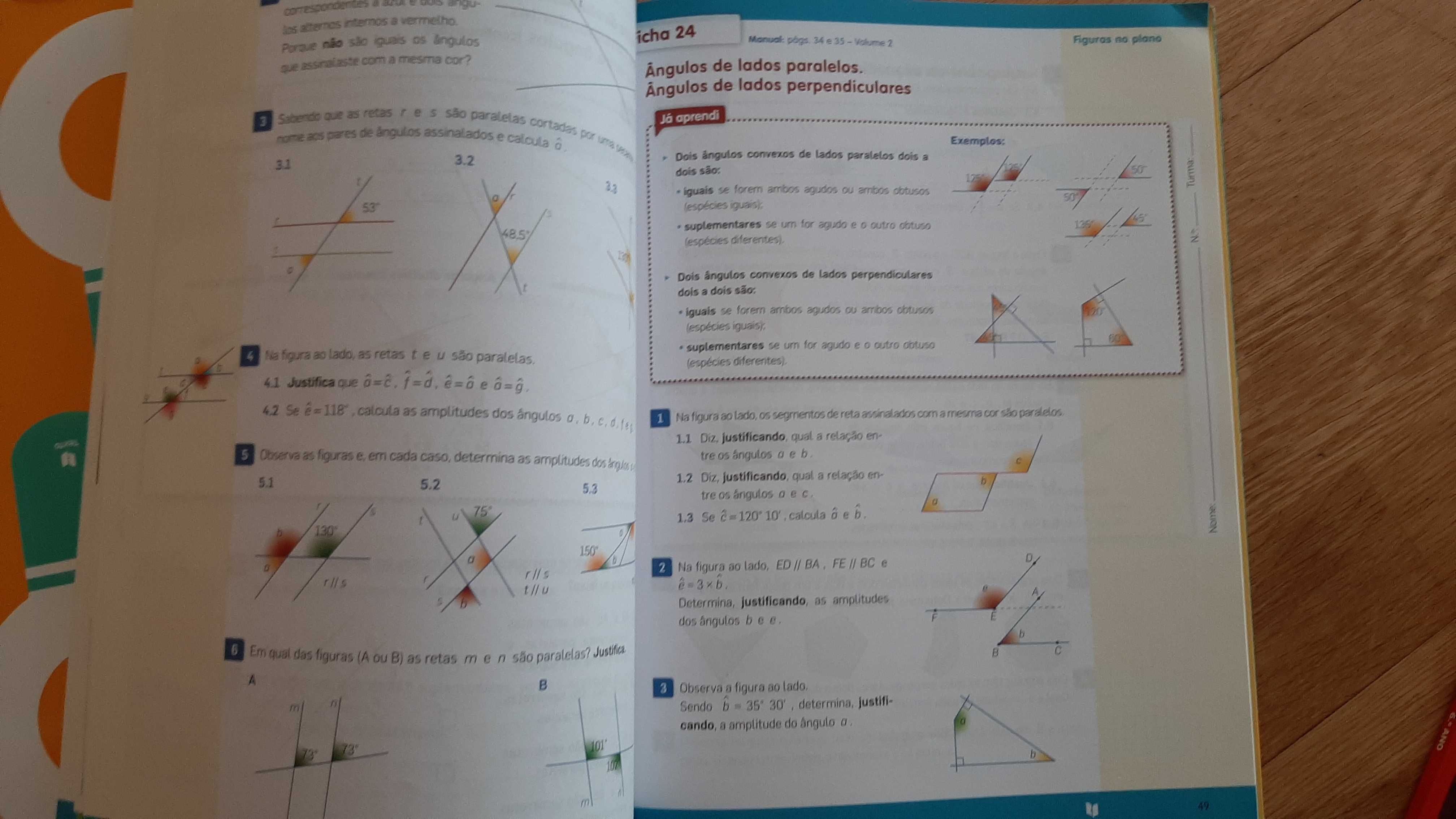 Livro actividades mat5