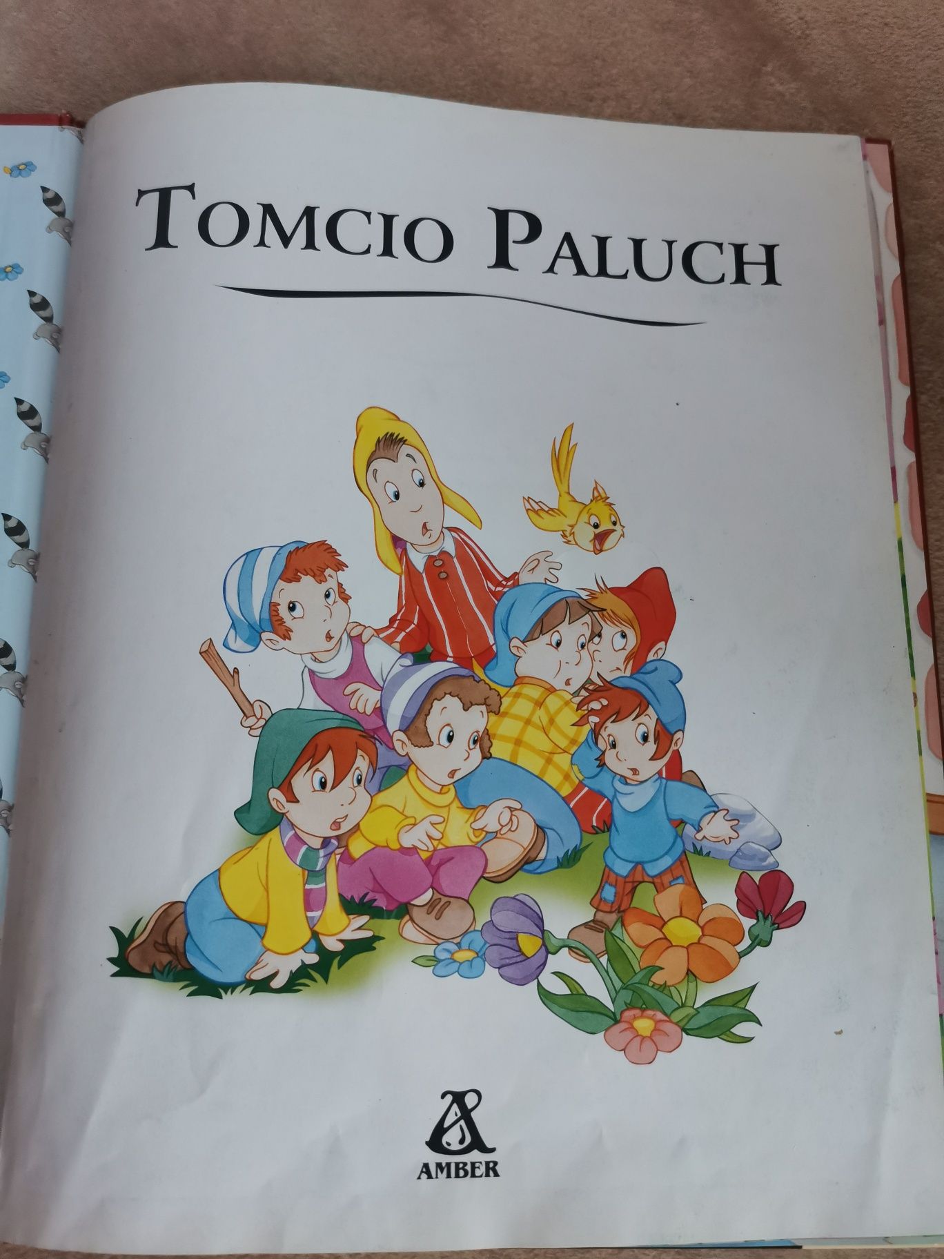 Tomcio paluch książka dla dzieci