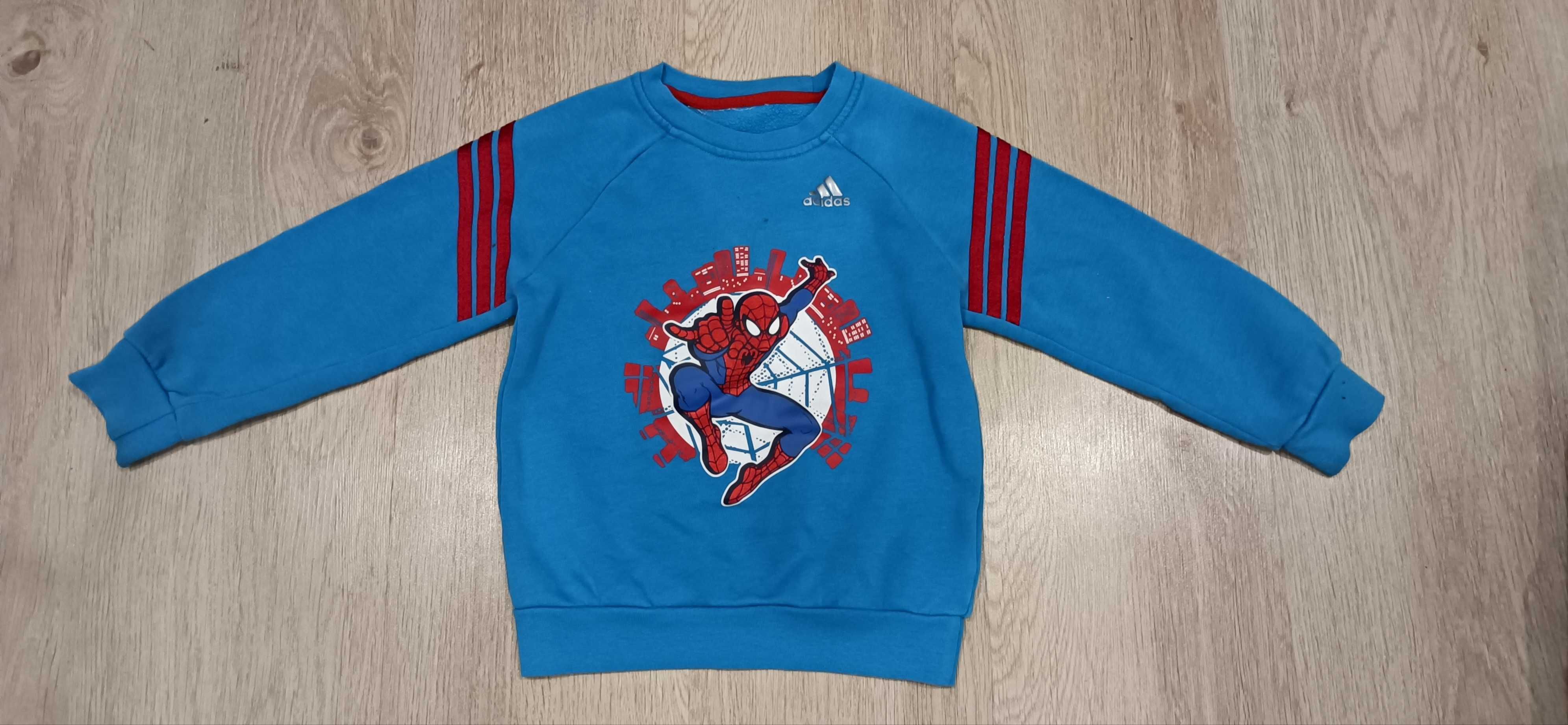 Bluza dla chłopca Spiderman