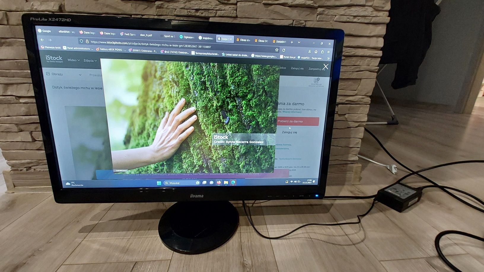Monitor Iiyama ProLite X2472HD, 24" czarny
