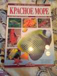 Андреа Гизотти.Чудеса подводного мира. Красное море.