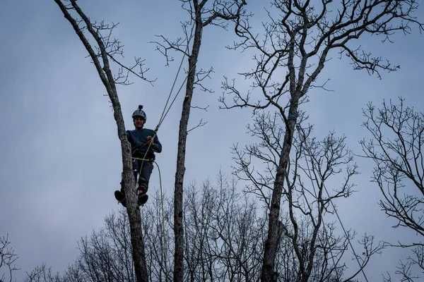 Благоустройство, Осуществляем спиливание деревьев, обрезку веток