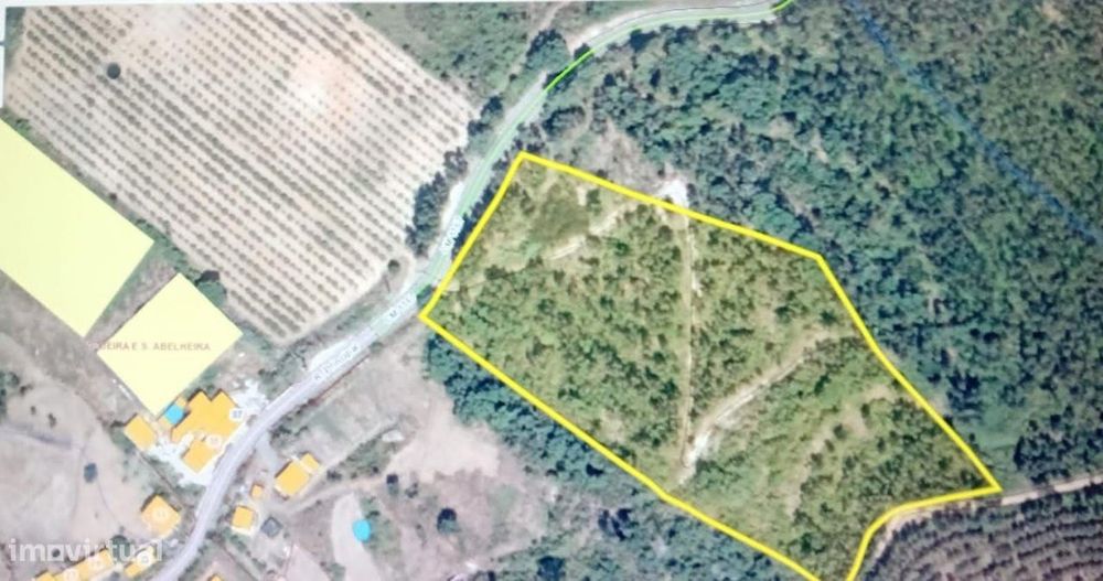 Terreno com Eucaliptos à Venda – Natureza e Tranquilidade em Mafra