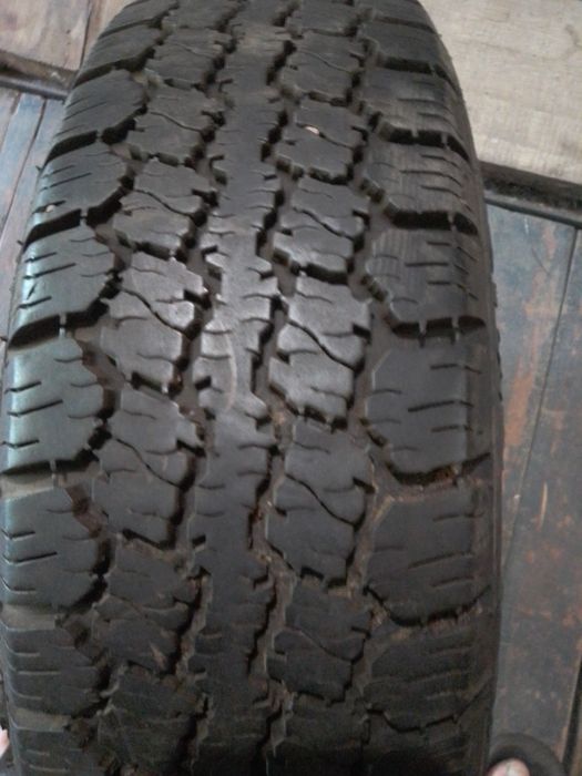 Продам ризину 185 60 14 .