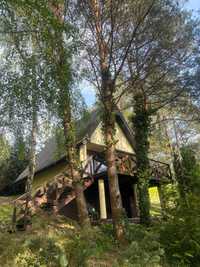 Domek na wynajem / apartament w lesie w Wiktorowie, Kujawsko-pomorskie