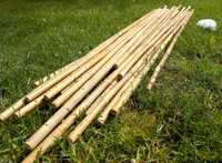 Tyczki bambusowe z dziurkami 120 cm podpory 16-20 mm 28 szt. + sznurki