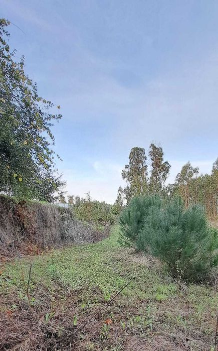 À venda de terreno em Rua Rojão, Vila Nova da Rainha Tondela