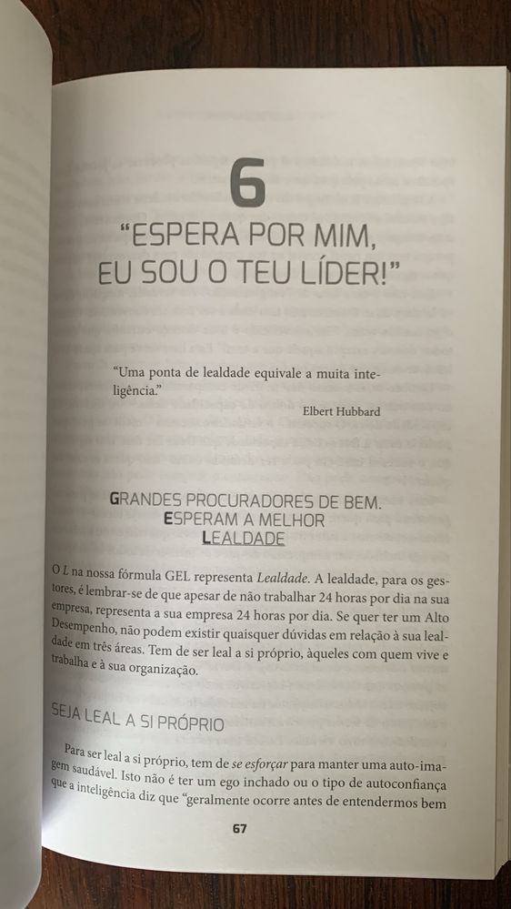 Livro Alto Desempenho (Zig Ziglar)