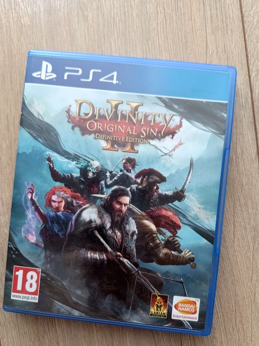 Divinity II 2 Original Sin PS4/PS5 PL stan igła