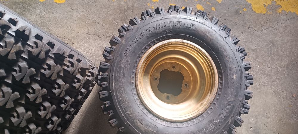 Warrior Raptor 350. Peças