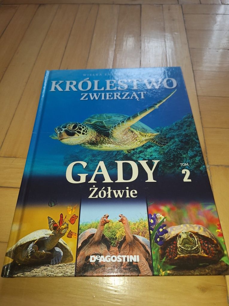 Królestwo zwierząt