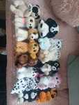 Pieski z serii Ty Beanie Bellies