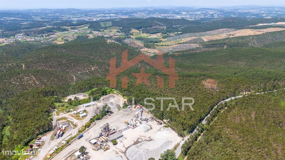 Terreno Florestal / Eucaliptal / 10 Hectares / Trofa