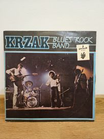 Winyl Krzak - Blues Rock Band
