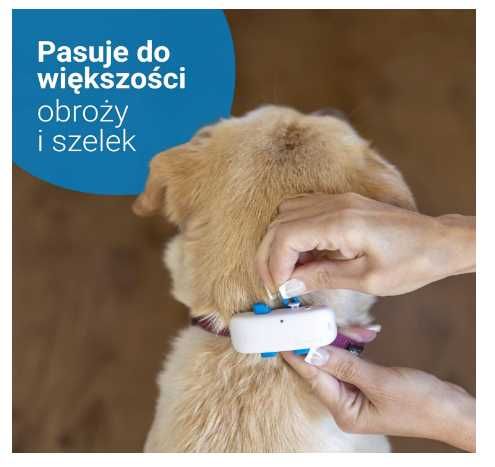 Tractive GPS — Lokalizator dla psa