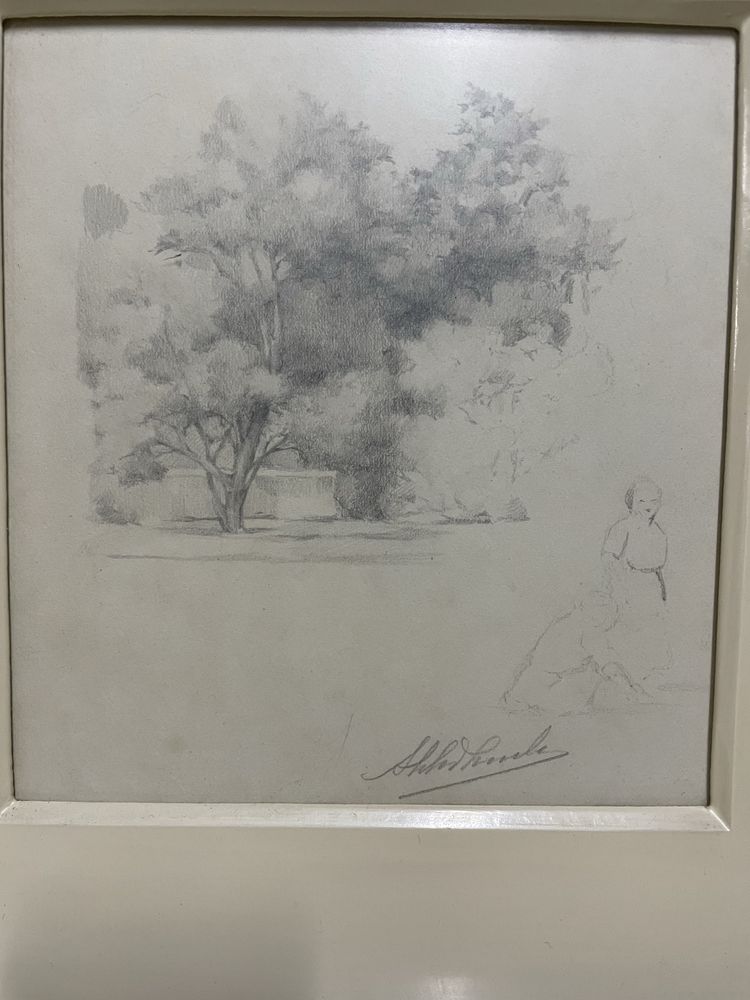 Desenho antigo assinado – árvore a grafite com moldura (obra original)