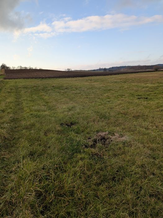 Ziemia rolna 9,33 ha