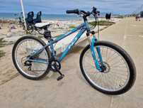 Bicicleta inglesa Indi roda 28’