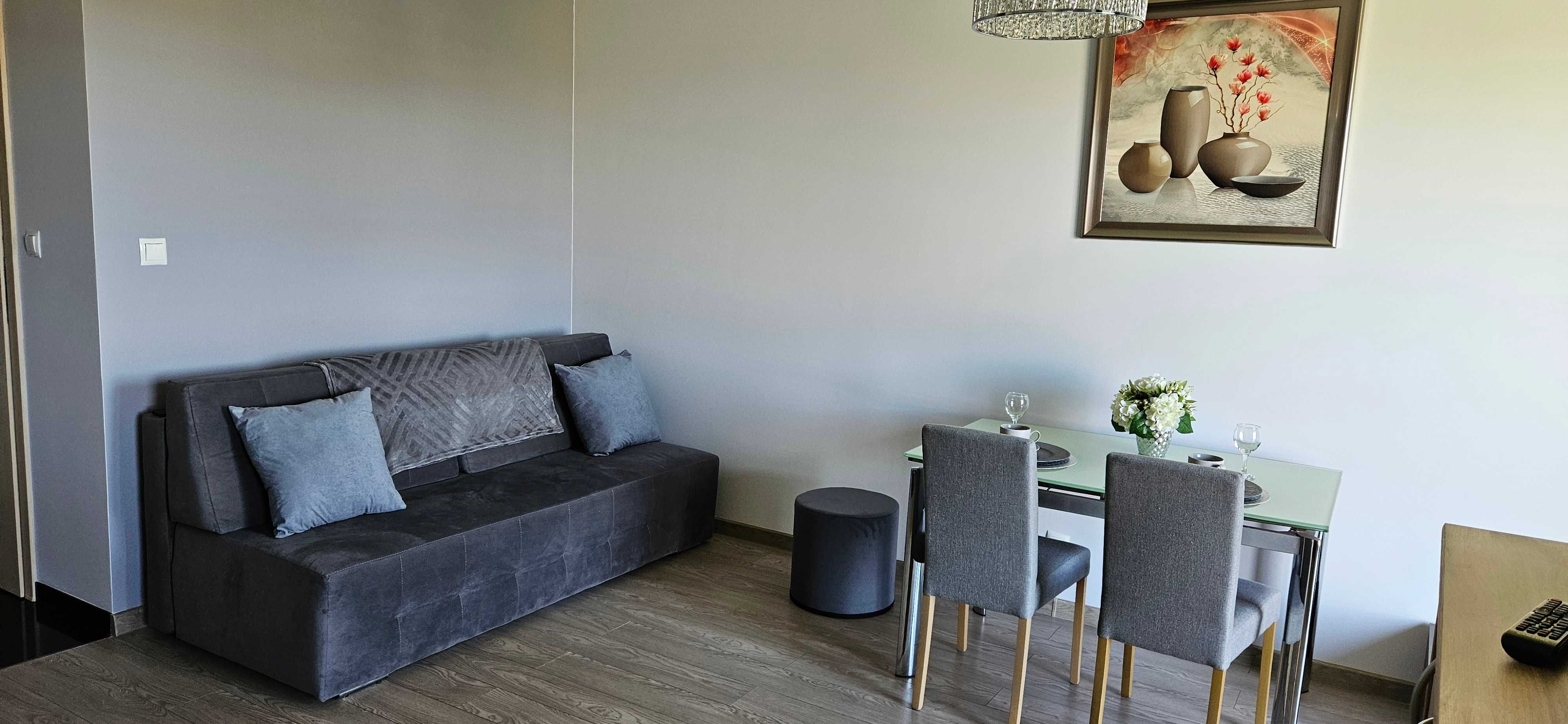 Do wynajęcia nowoczesny apartament wraz z miejscem postojowym