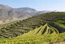 quinta alto douro