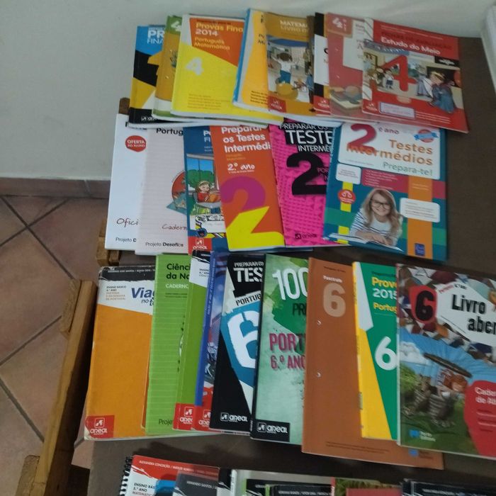 Cadernos de atividades/Livros de fichas