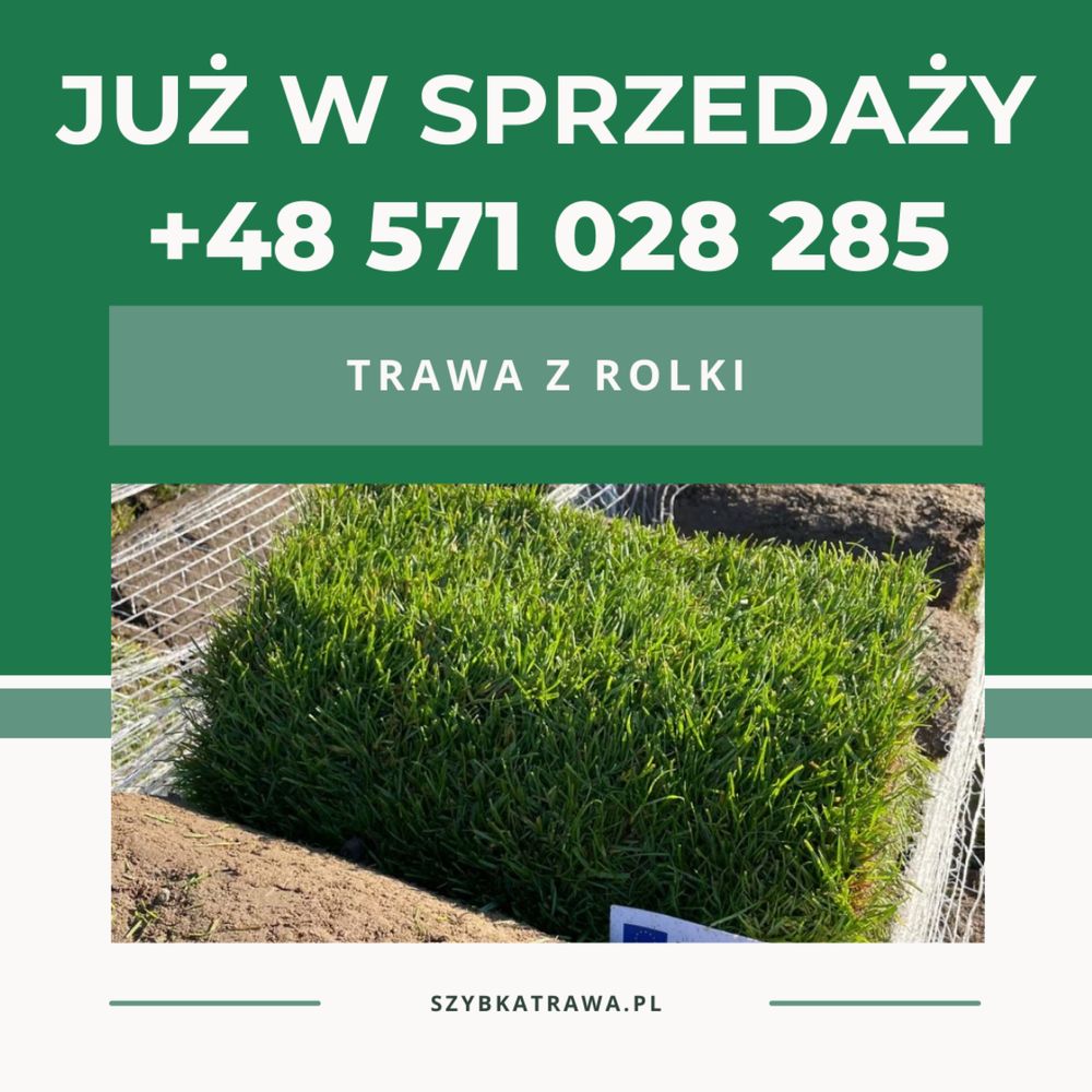 Trawa z rolki premium