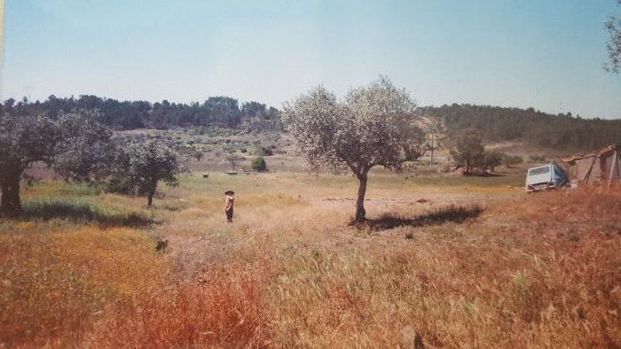 Land / Terreno para construção em Alvisquer