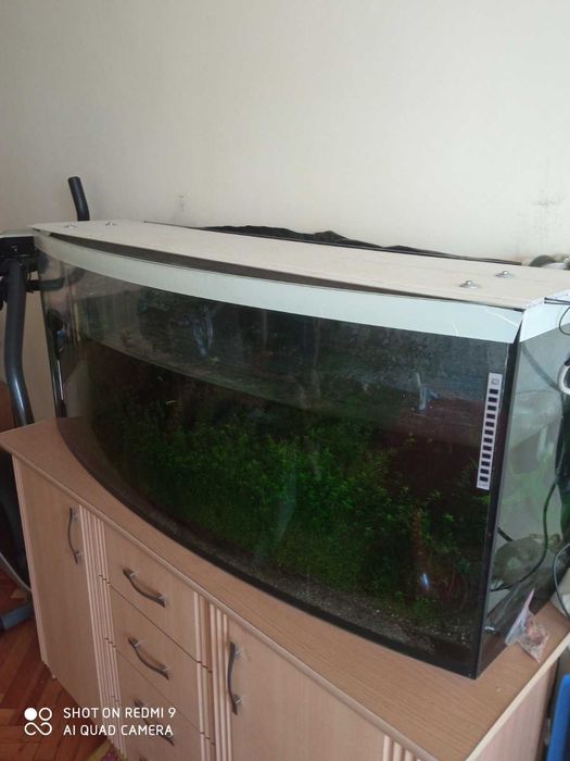 Акваріум 200 л. Б/В