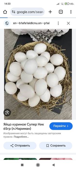 Яйце кур Ломан Вайт імпорт